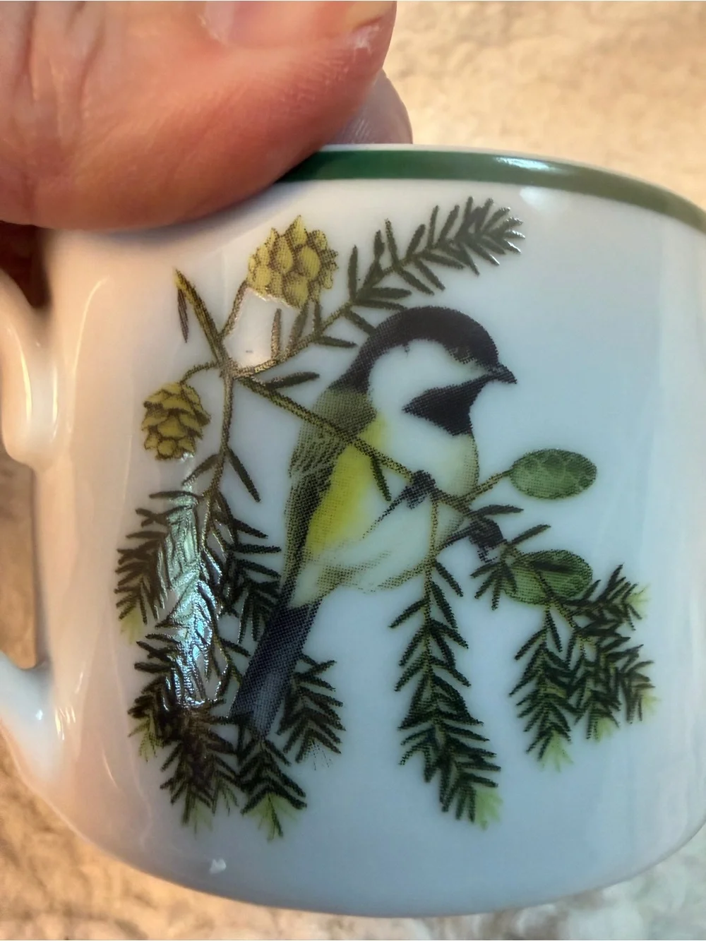 2 Vintage National Wildlife Federation “American Songbirds” Tea Cups. RARE